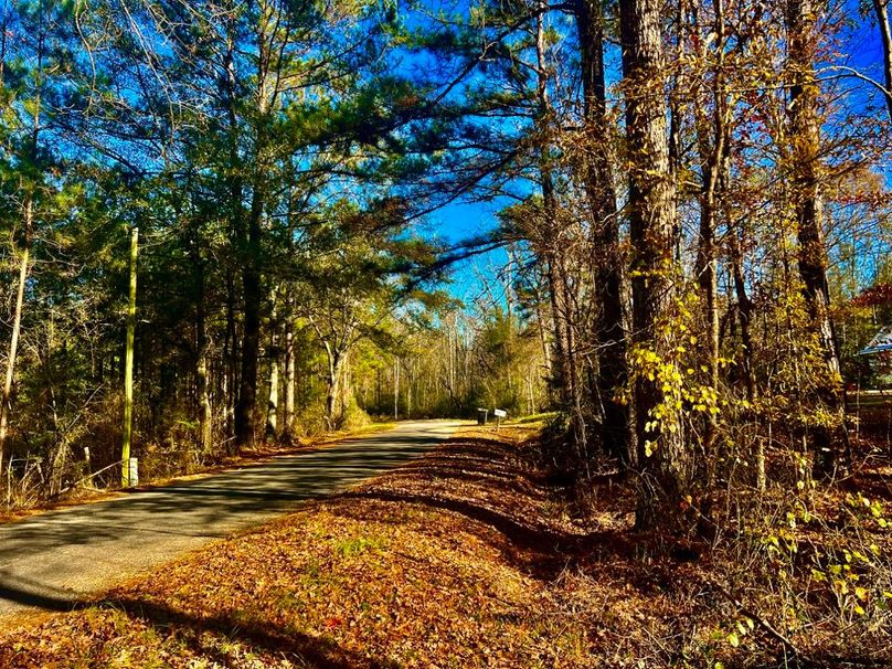 9878D253-5B66-43F1-A98A-DDFCAB2C4D13_1_201_a