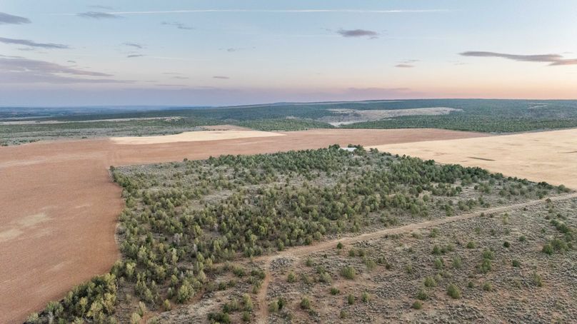 DJI_0384_1