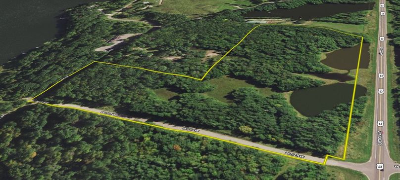 Barron25.45Rojas-006