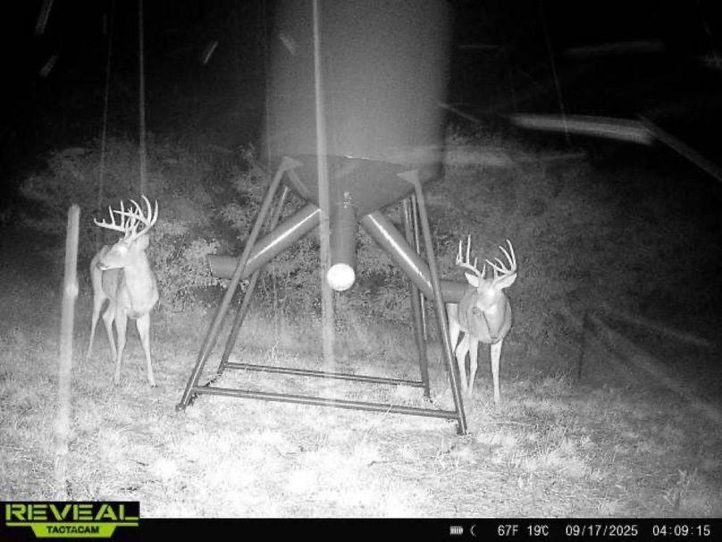 865977050266538-100-4-09172025040914-W1009640