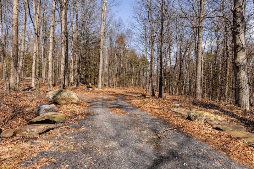 85-web-or-mls-IMG-85