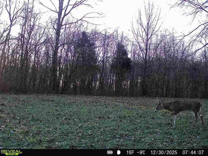 860516067590665-80-4-12302025074406-V-W1000371