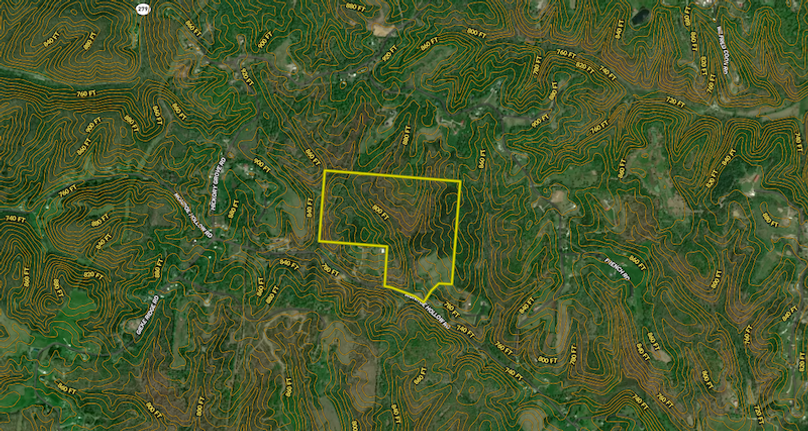 Screenshot 2024-02-28 at 12.44.45 PM