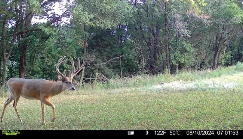 TRAIL CAM 3