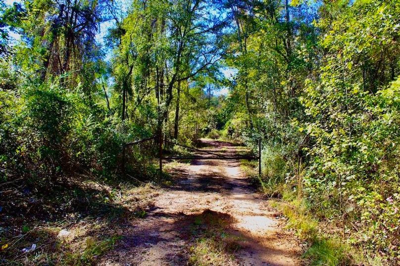 98C78C1A-9C2D-4E97-9949-FCBBF5C4A9A7_1_105_c