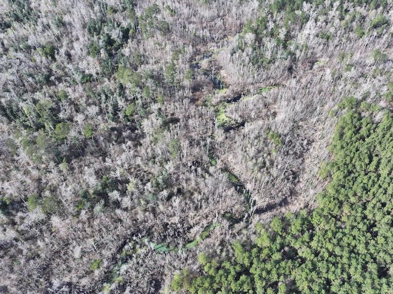 dji_fly_20260112_124440_0824_1768323786764_photo