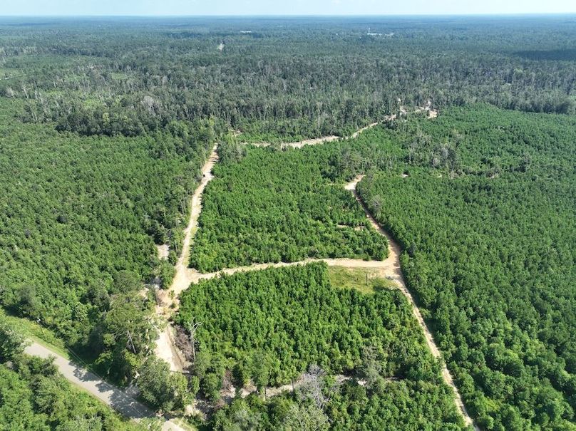dji_fly_20240814_114336_750_1723676221878_photo