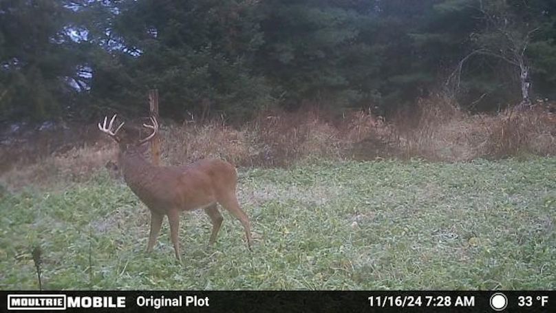 Temp_1082385-20241116132909-100MFCAM_MFDC0476