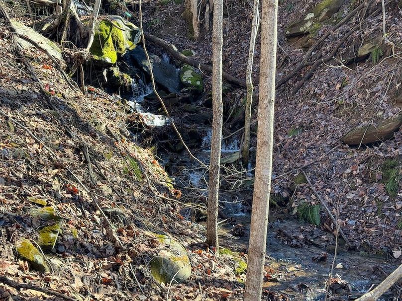 Cherokee 118.85 Harris Top-06