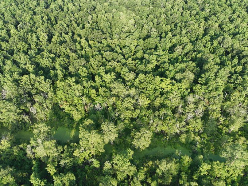 dji_fly_20230630_080732_193_1688137761508_photo