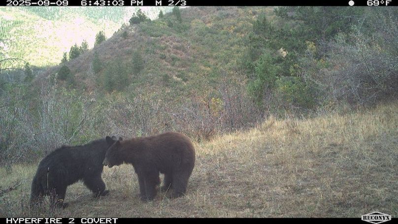 9D1D0674-8CA3-4F94-921C-2D21D2EDA552