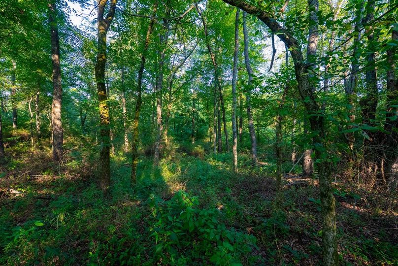 Copy of DSC06274 Large