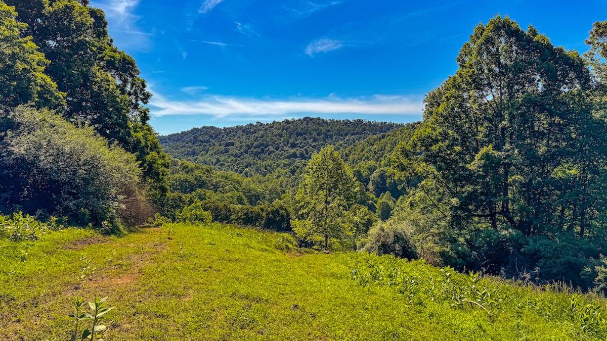 Beautiful Property Next To Stonewall Jackson Lake And WMA Whitetail
