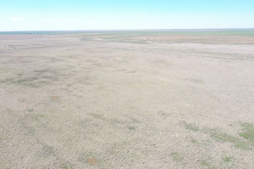 DJI_0654