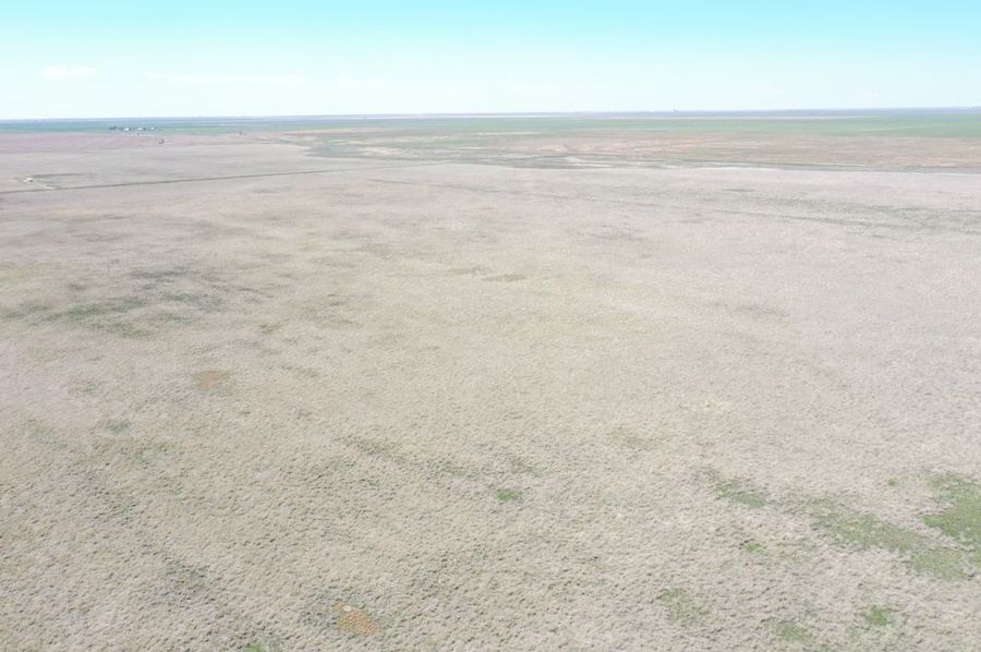 DJI_0654