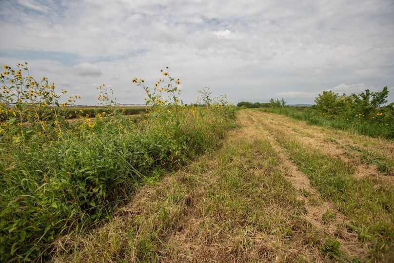 ATCHISON CO MO 31.47_41