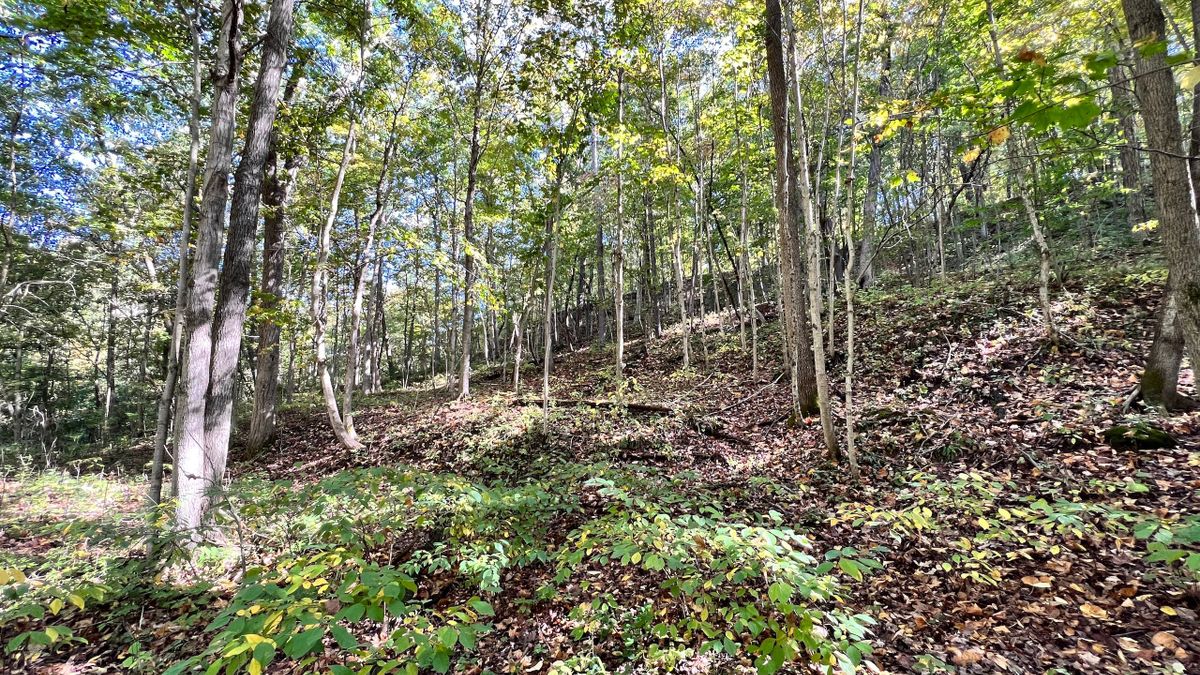 Recreational Acreage Located In West Central Indiana Whitetail Properties