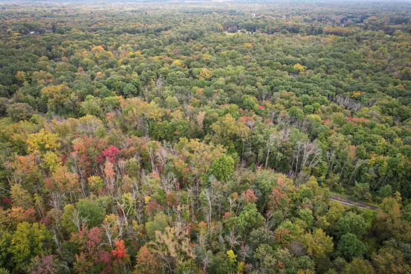 Ontario_16.2_Eddington Photo 5