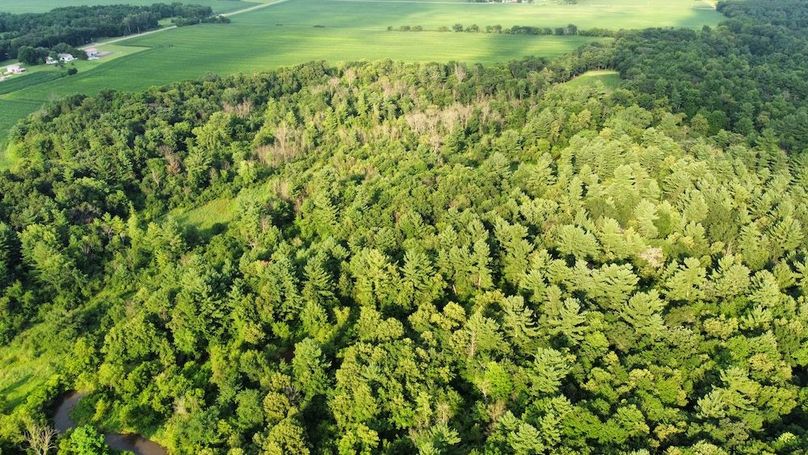 dji_fly_20240715_182306_692_1721085793706_photo_optimized