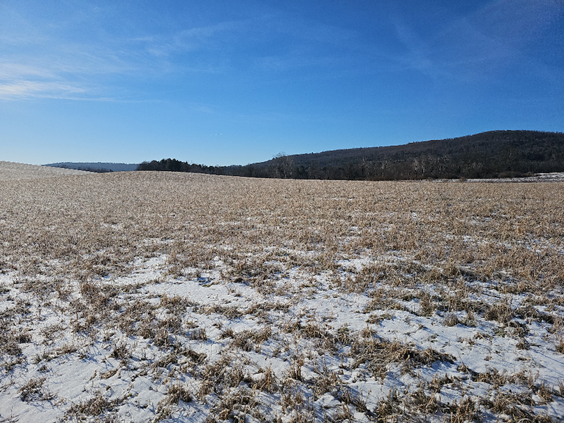 photo_65ea3df5-7872-46f7-81cb-646c4751a90d