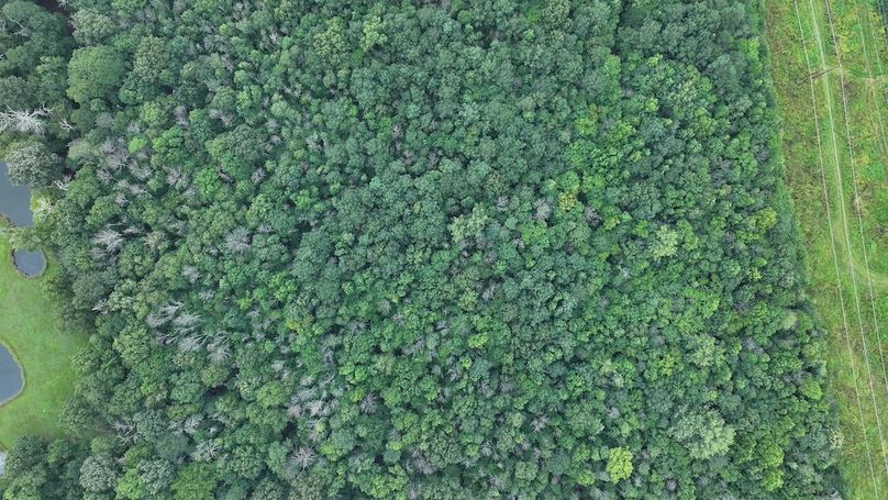 DJI_20250715002829_0163_D