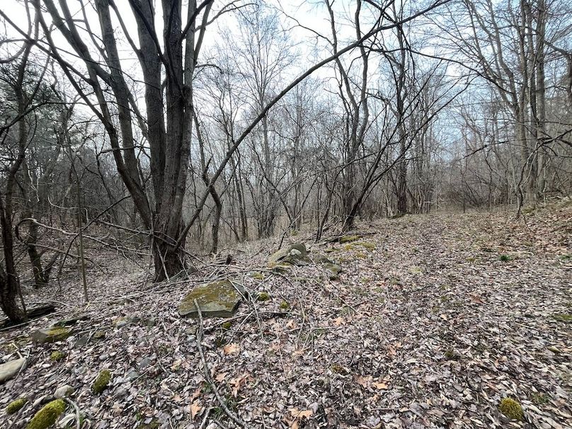 Yates_11.492_Mezer Photo 24