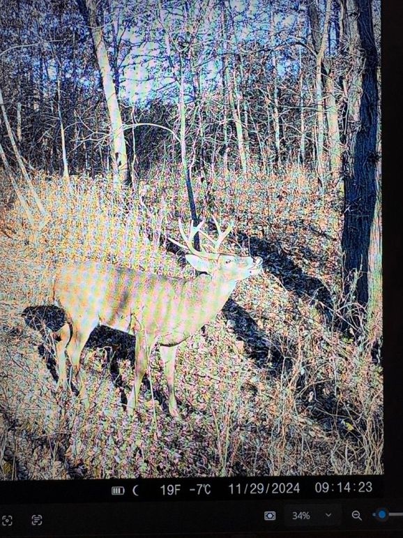 25036E5F-8D2B-438C-9580-DBECEF01F682