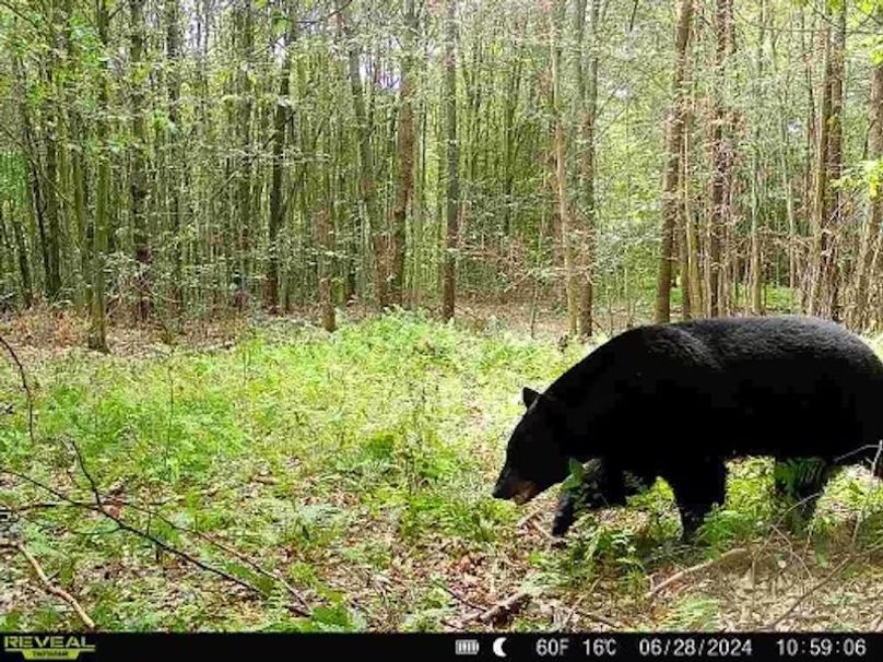 3f8ef2b3-38ac-4428-8775-d8e111eb4a48