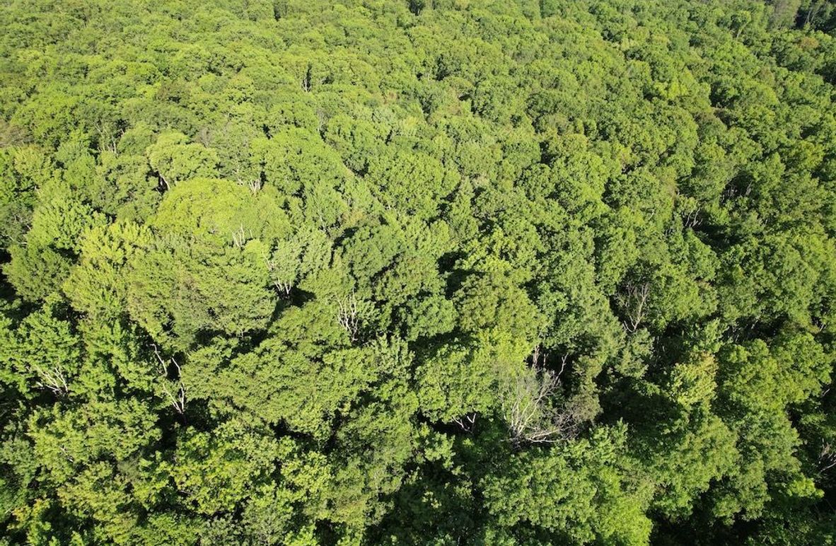 dji_fly_20260602_085050_612_1780663585876_photo