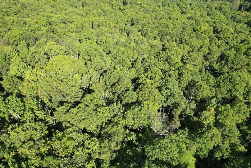 dji_fly_20260602_085050_612_1780663585876_photo