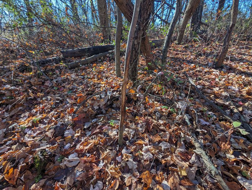 PXL_20231103_153819485