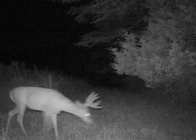 Copy of IMG_3198 Large