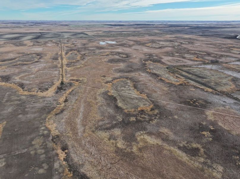 DJI_20241118113232_0326_D