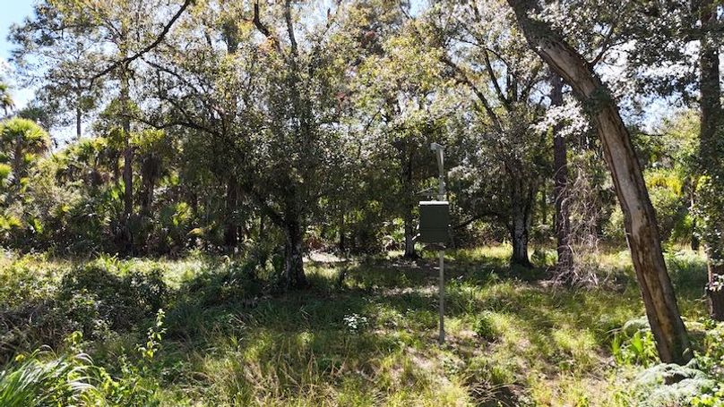 DJI_20251121124711_0031_D