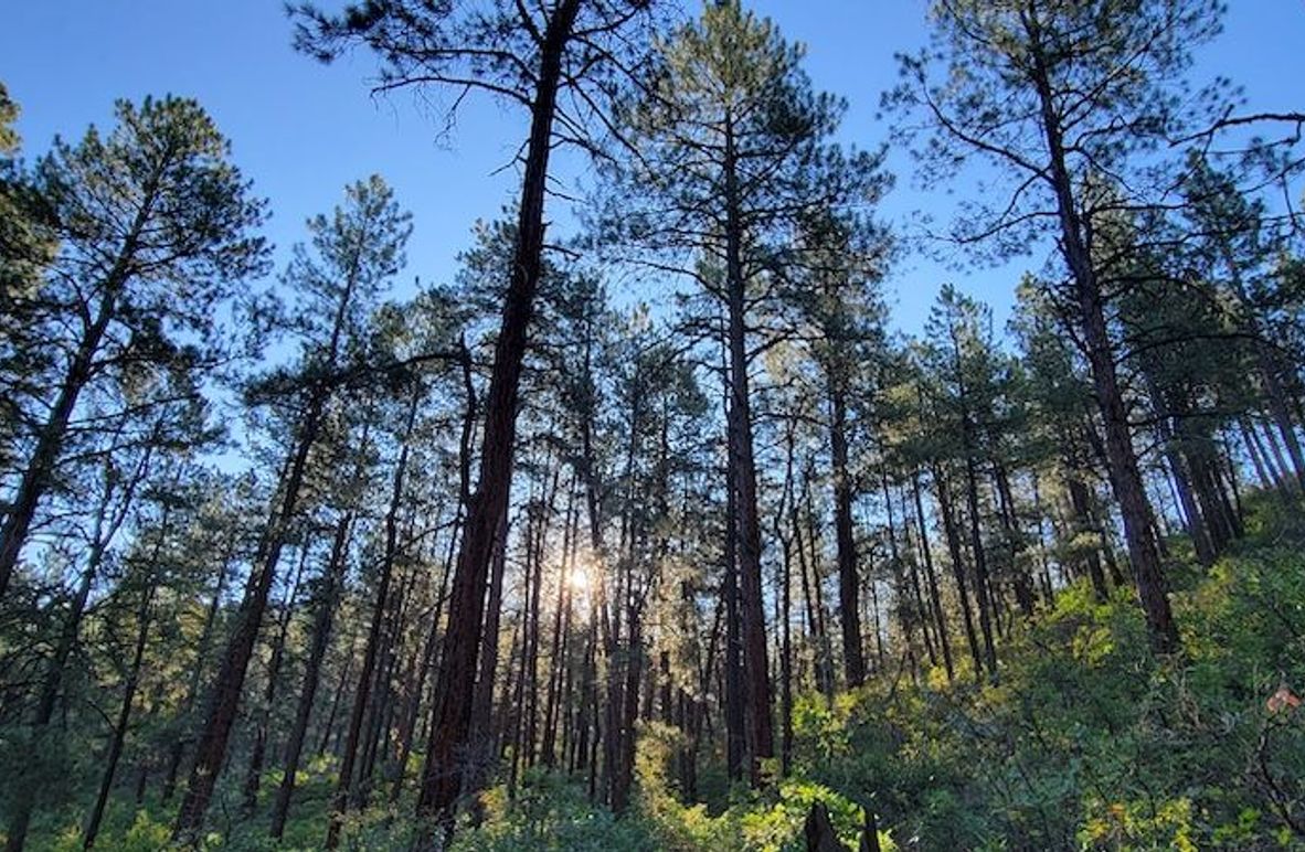 Copy of 20210827_075746