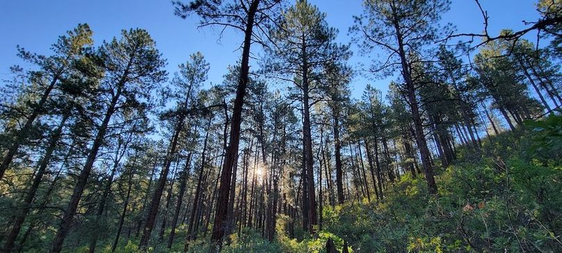 Copy of 20210827_075746