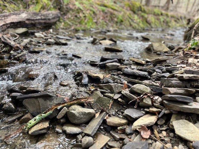 Tioga_28.87_Shangraw Photo 31