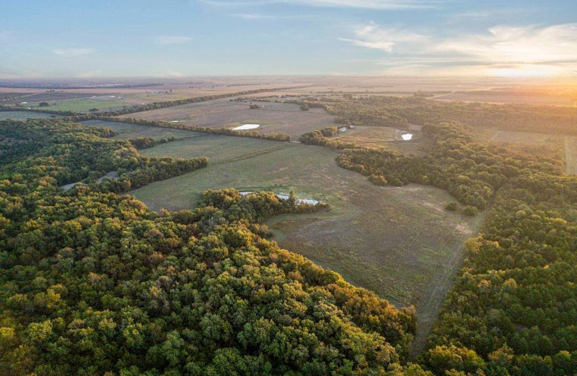 Lamar County- 93 acre reshoot (1 of 38)