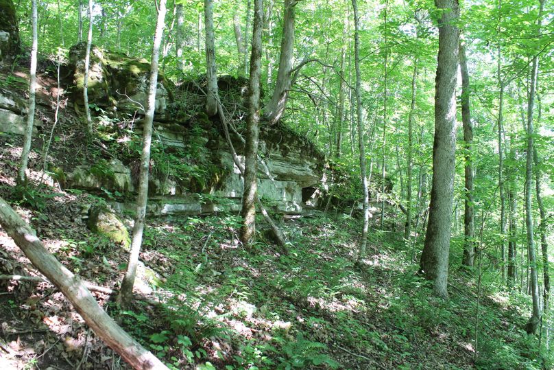 017 the rock cliff area just below the old homestead in the eastern portion of the property