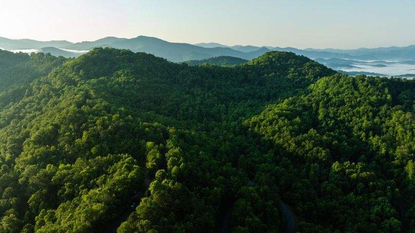 101 Featured_ProPhoto-111