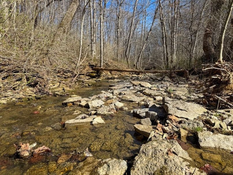 Fleming Petry 120-063