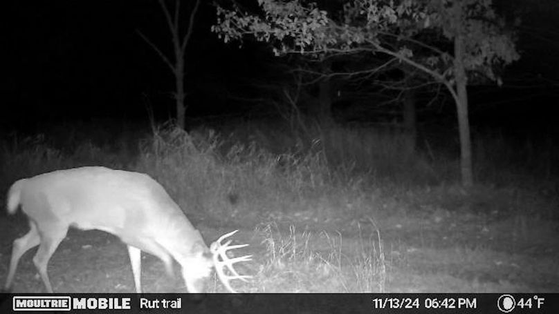 Temp_731870-20241114123220-20241113184212_005001