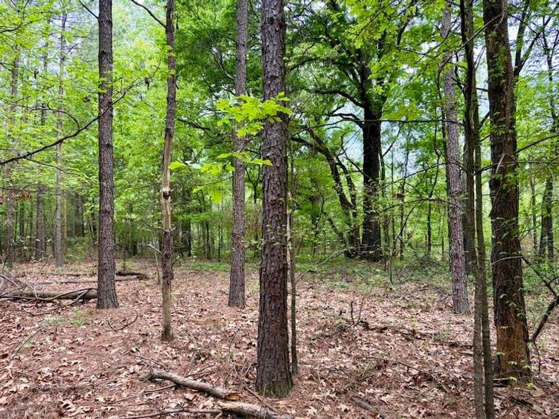 E83B2D9E-60F1-4396-956C-706012AFEB3D_1_105_c