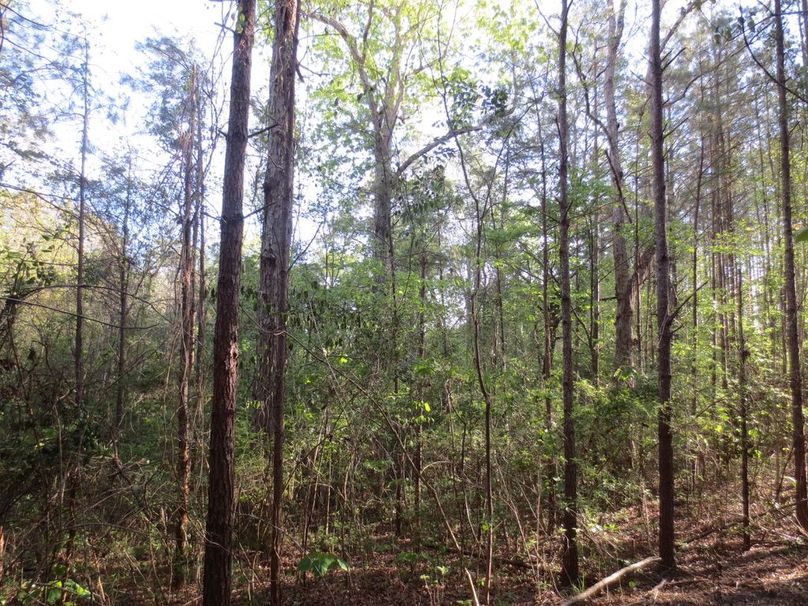 E23E7B02-4803-4829-A9FE-63A29D0BF19C_1_105_c