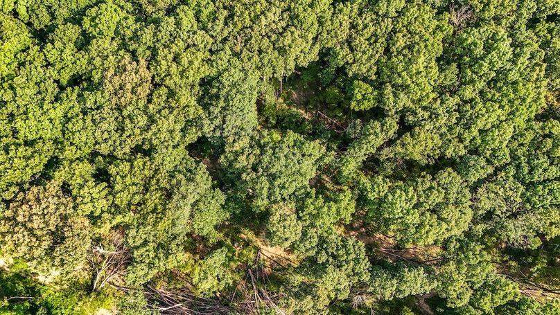 DJI_20250729081807_0112_D