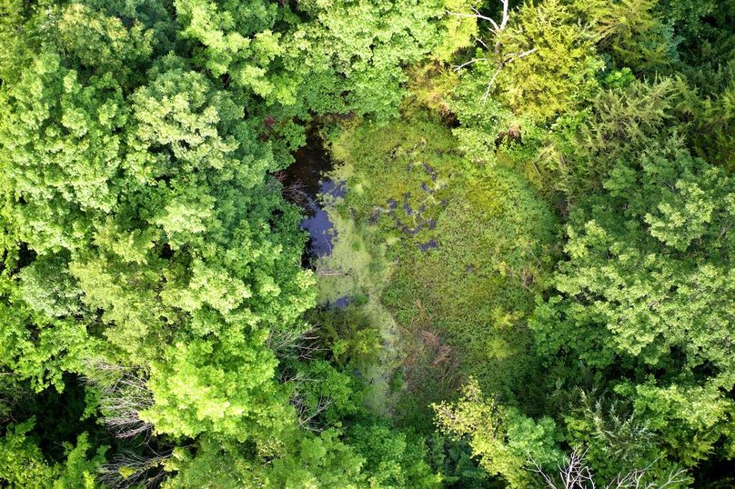 DJI_0681