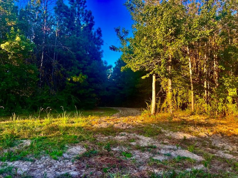 7453146C-2C6E-4B11-9463-7186C8619AEF_1_201_a