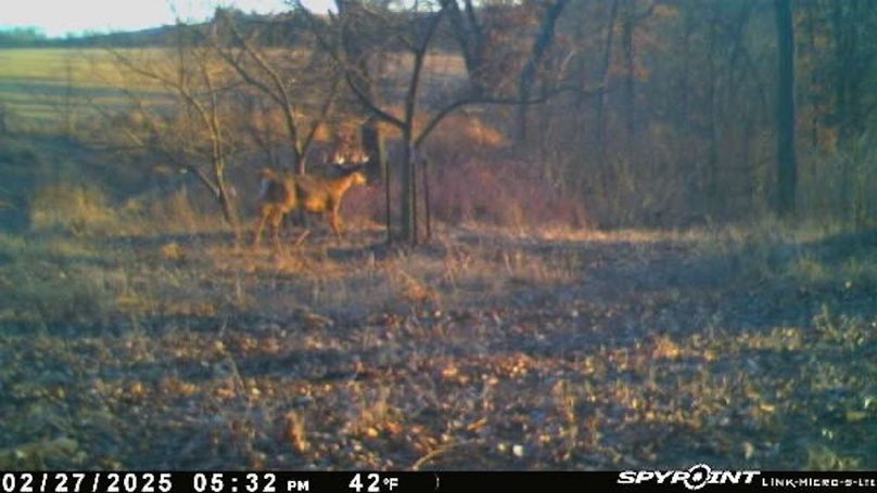 Image-1(17)