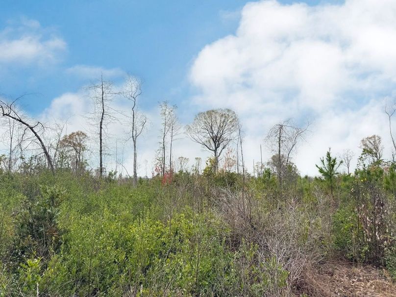 F896C372-5BDA-4493-AA78-4A00F2EAD4D1