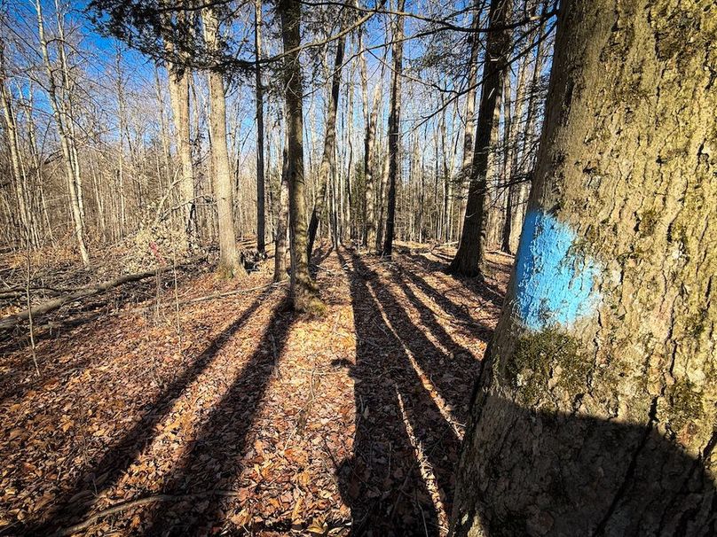 Chemung_31.75_Seymour_South_Photos_24